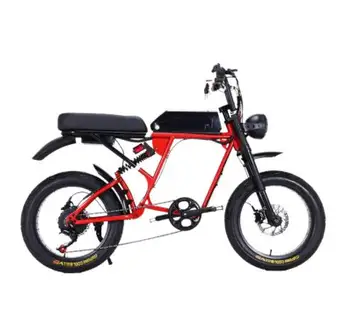 500 Вт 48 В 12А дешевый снежный пляжный электровелосипед 20 дюймов Fat Tire мощный внедорожный горный электрический велосипед